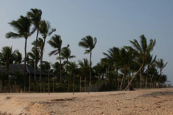 Évasions Amoureuses : Les 5 Croisières Incontournables pour les Couples